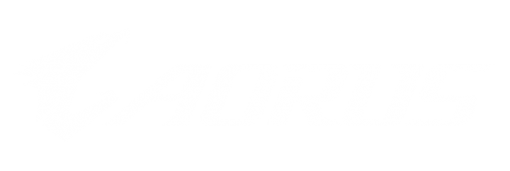 AORUS