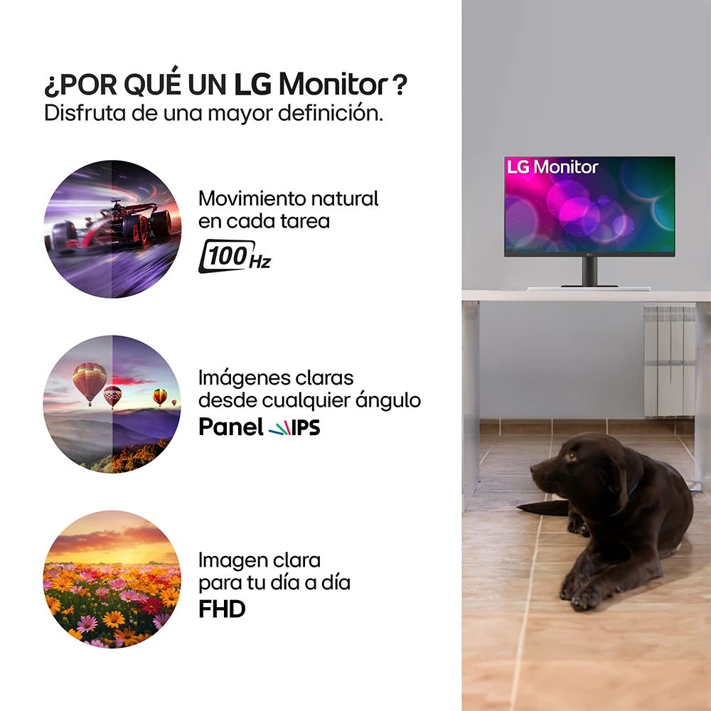 MONITOR LG 24MS550-B – Panel IPS | FHD | 100Hz | 24”